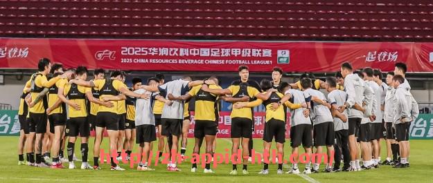 HTH华体会APP下载-西甲联赛保利尼奥加盟与表现