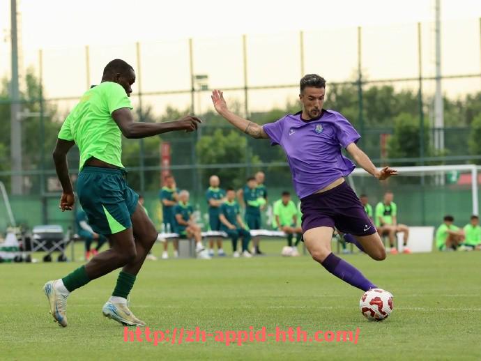 HTH华体会APP下载-西甲足球联赛赛制:西甲联赛的比赛制度与赛季规则分析