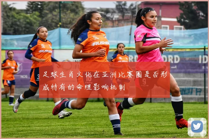 足球生肖文化在亚洲比赛圈是否形成特有的命理影响机制