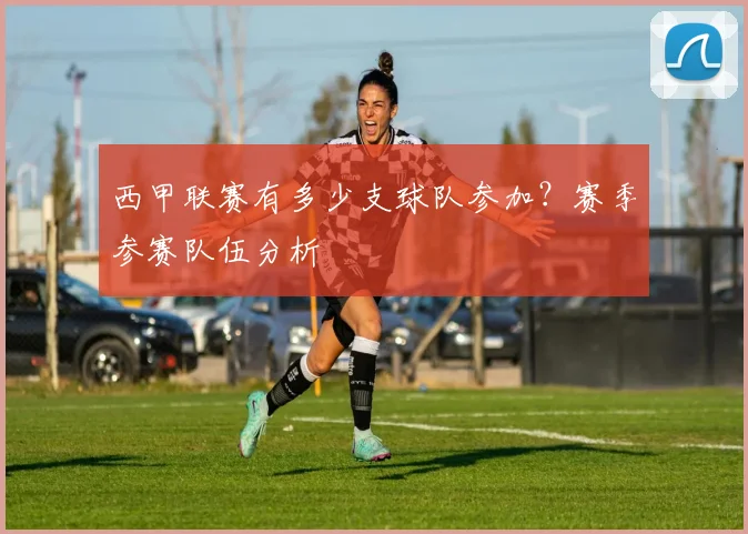 西甲联赛有多少支球队参加？赛季参赛队伍分析