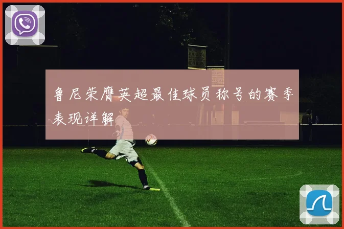 鲁尼荣膺英超最佳球员称号的赛季表现详解