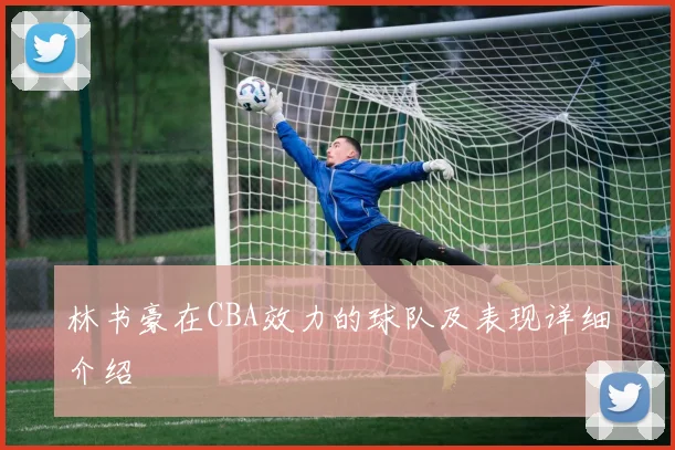 林书豪在CBA效力的球队及表现详细介绍