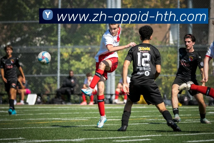 华体会hth发展历程